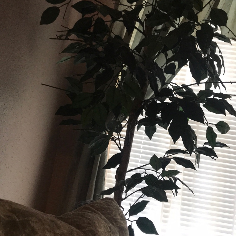 Meet your Posher, Karla